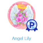 Angel Lily プロフィール